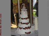 Deb & Dan's Wedding Cake, Letchworth Park