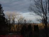Dawn Painting Treetops, Groveland, NY