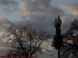 Lamppost Wreath, Bare Trees and Late Sky, Boylston St.