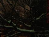 Winter Supplicant, Accumulating Snow, Longfellow Bridge