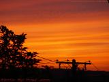 Sunset With Utility Wires, Medford, Mass.