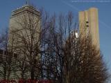 Bare Trees, Prudential at Christian Science Plaza, Boston