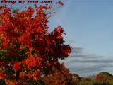 Brilliant Fall Colors, Brooksby Farm, Peabody, Mass.