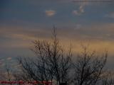 Sunset Clouds, Bare Trees, Huntington Avenue, Boston