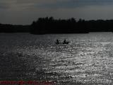Silhouettes On Silver Water, Bare Hill Pond, Harvard