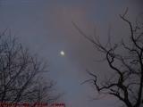 Spooky Sunset Moon? Nah, It's Springtime! Dell Ct., Lynn