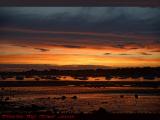 Sunset Blaze Over Low Tide, Beverly Harbor, Massachusetts
