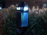 Calling Dr. Who? MIT Police Call Box - Or Not, Cambridge