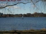 Boston Trying to Bloom, Sailboat on the Charles at MIT
