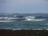 Surf's Up, Rising Tide at Cape Elizabeth, Maine