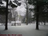 Snow Falling in Island Park at Day's End, Wellsville, NY