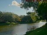 Shaded Waterway, The Terraces, Plantation, Florida