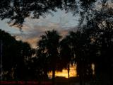 Sunset and Silhouetted Trees, Plantation, Florida