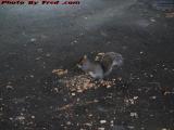 Winter Squirrel Eating Peanuts, Island Park, Wellsville