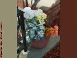 Cheerful Flower Pot, Brookings Street, Medford, Mass.