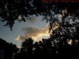 Sunset Clouds, Jet Streak and Silhouette Trees, Plantation