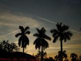 Intersecting Jet Trails Over Sunset, Sunrise, Florida