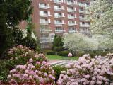 Spring Blooms, Cambridgeside