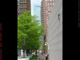 Gardened Path, Prudential Area