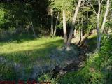 House Gully, Late Afternoon, Groveland, NY