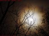 Foreboding Thanksgiving Moon, Groveland, NY