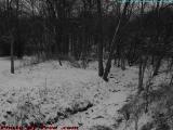 Lower House Gully in Snow, Groveland, NY