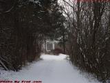 Lilac Lane Dressed In Snow, Groveland, NY