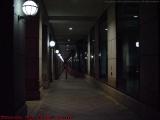 The Hall of the Mountain King, Hynes Convention Center