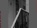 Snowy Railing Detail, Groveland, NY