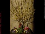 Spring Flower Basket, Lower State Street