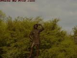 Explorer's Statue, Commonwealth Avenue at Fenway