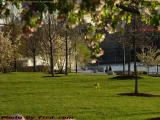 Watching Fountain Fog, Lower Charles River Park, Boston