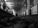 Mouse Eye View, Prudential Station