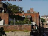 Roof Garden, near Hatch Shell, Boston