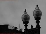 Street Lamp Study in Gray, Boylston Street, Boston