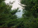 Distant Prison Forest Perspective, Groveland, NY