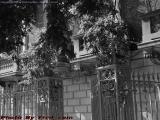 Wrough Iron Fence, Bay State Road, Boston