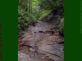 Shale Waterway, House Gully, Groveland, NY