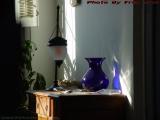 Still Life, 125 London Street, East Boston