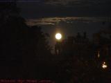 Moonrise Over Commonwealth Avenue, Boston