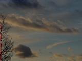 Painted Cloudscape With Gulls, Boston