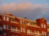 Late Sunset Gull and Roofline, Cambridgeside