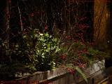 Winter Flower Basket, Stuart Street, Boston