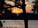 Summer Sunset Silhouettes, Esplanade