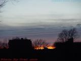 Bare Trees in Sunset Silhouette, from Boston Common