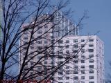 Bare Trees, New Labs, Kendall Square, Cambridge