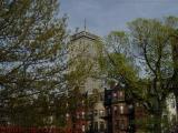 Prudential Perspective & Spring Leaves, Comm. Ave.