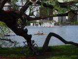 Recreation, Esplanade, Charles River