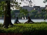 Shaded Picnic and Sails, Esplanade