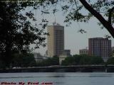 Cambridge Framed by Esplanade Branches